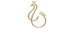 shaakuntal.com